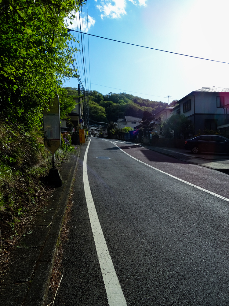 2018-04-08-渋沢丘陵など007-2.jpg