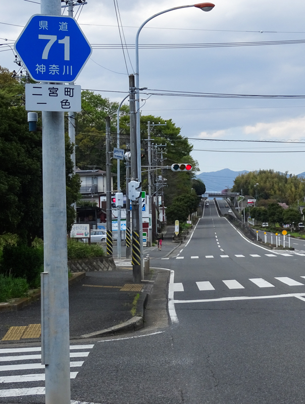 2018-04-08 渋沢丘陵など004.jpg