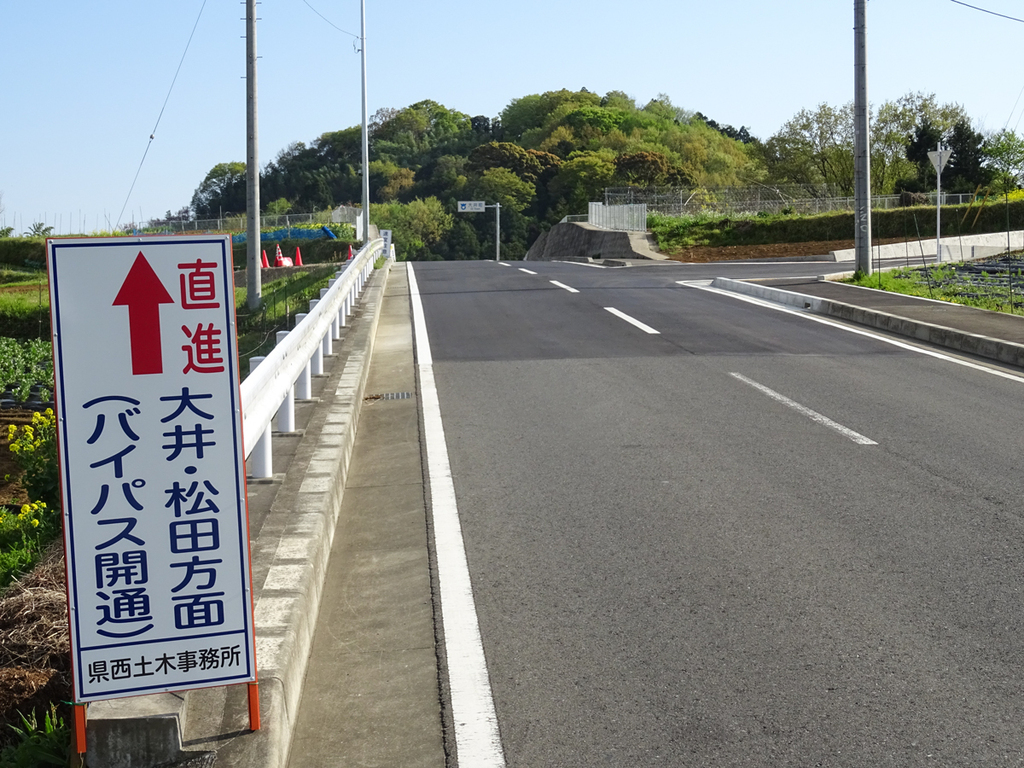 2018-04-08 渋沢丘陵など008.jpg