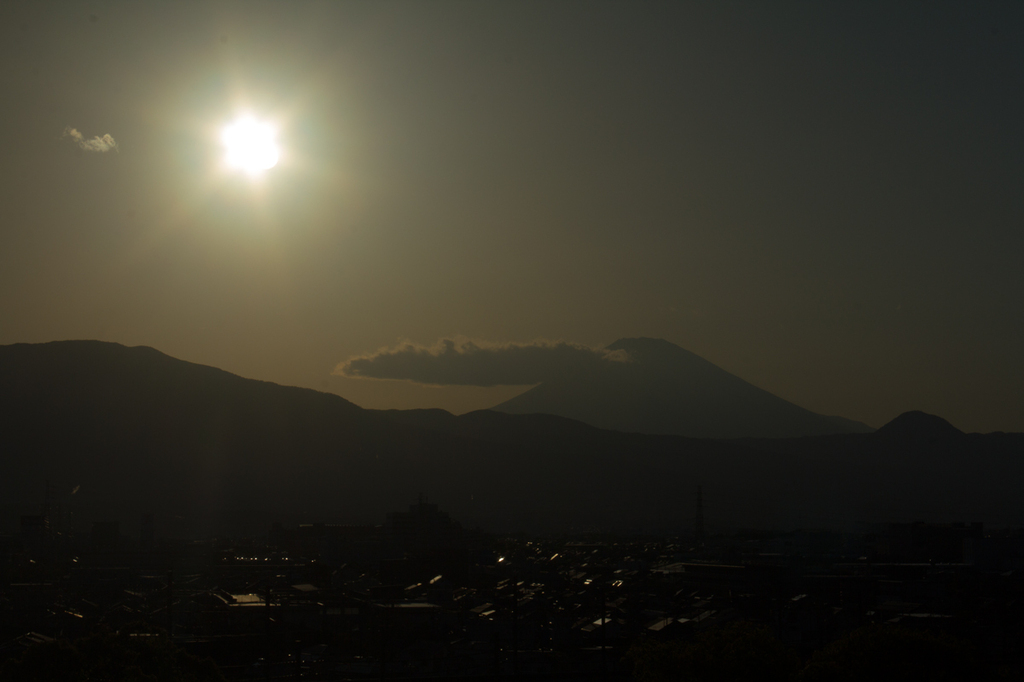2018-04-08 渋沢丘陵など026.jpg