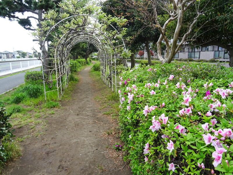 2018-04-15ポタ001.jpg