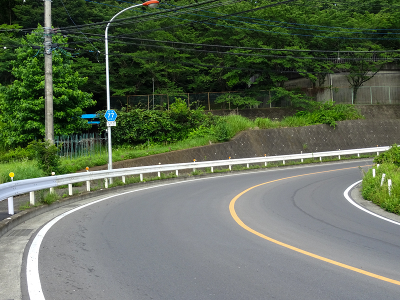 2018-06-17 酒匂川～富士見塚～渋沢丘陵他007.jpg