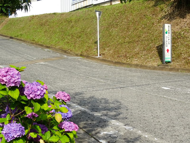 2018-06-17 酒匂川～富士見塚～渋沢丘陵他008.jpg