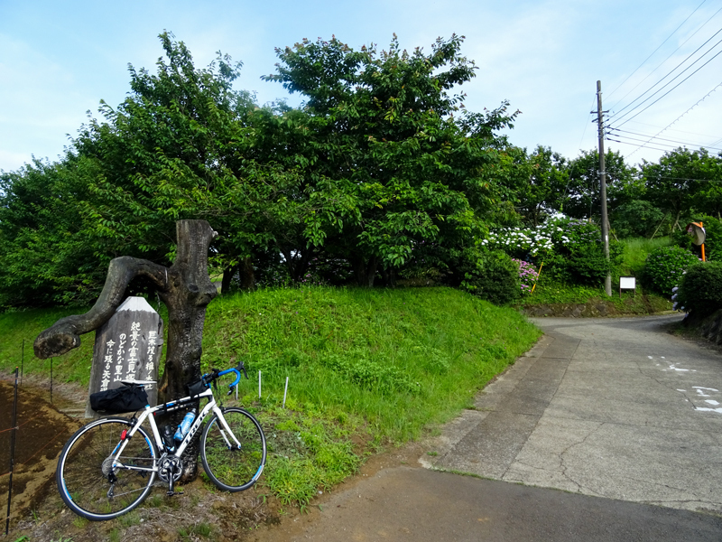 2018-06-17 酒匂川～富士見塚～渋沢丘陵他009.jpg
