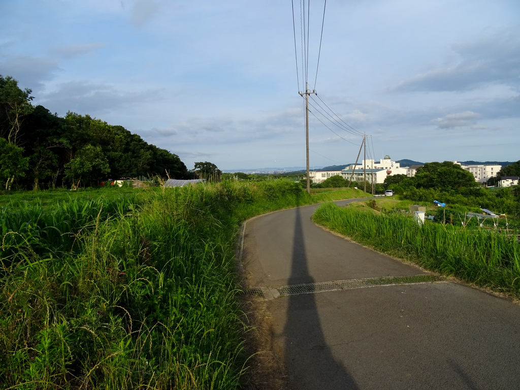 2018-06-17 酒匂川～富士見塚～渋沢丘陵他012.jpg
