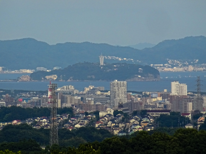 2018-06-17 酒匂川～富士見塚～渋沢丘陵他013.jpg
