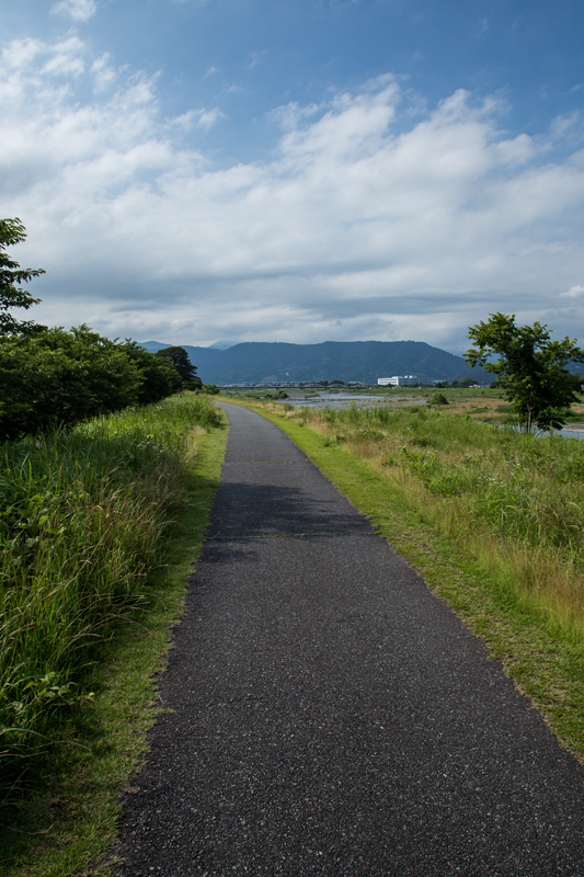 2018-06-17 酒匂川～富士見塚～渋沢丘陵他019.jpg
