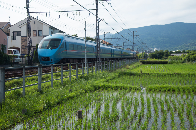 2018-06-17 酒匂川～富士見塚～渋沢丘陵他022.jpg