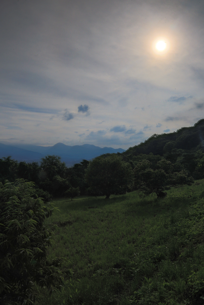 2018-06-17 酒匂川～富士見塚～渋沢丘陵他025.jpg