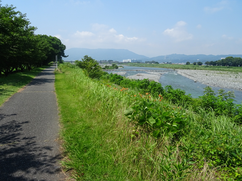 2018-07-15 足柄峠-003.jpg