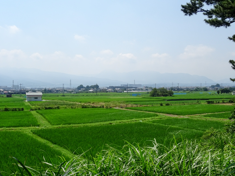 2018-07-15 足柄峠-004.jpg