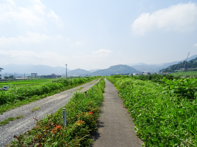 2018-07-15 足柄峠-006.jpg