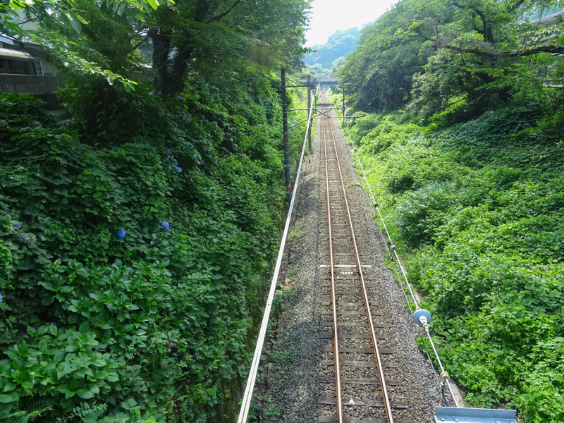 2018-07-15 足柄峠-008.jpg