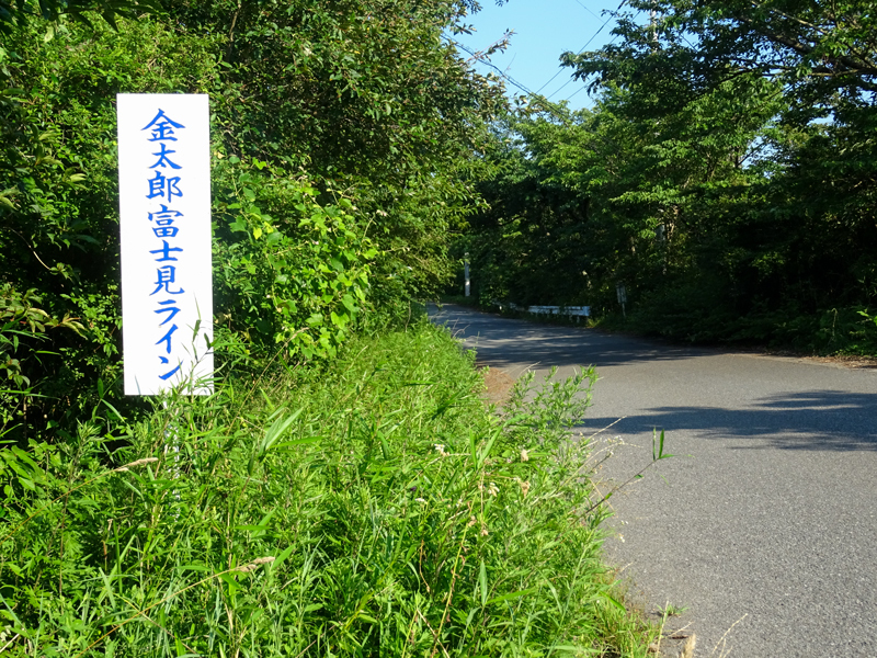 2018-07-15 足柄峠-024.jpg