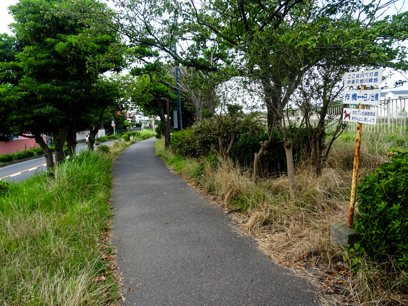 2018-07-22境川ポタ-004.jpg