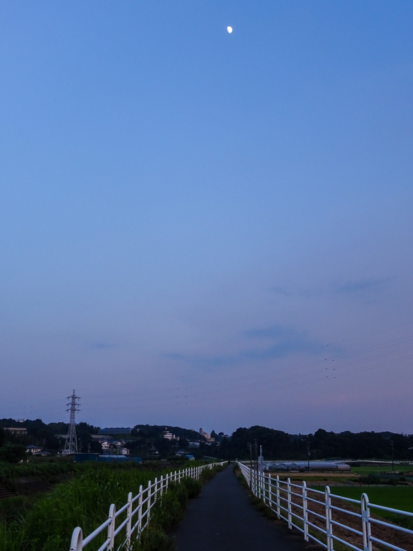 2018-07-22境川ポタ-013.jpg