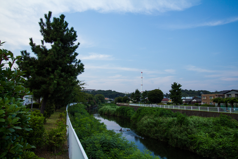 2018-07-22境川ポタ-016.jpg