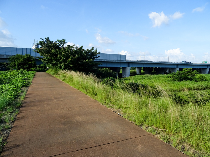 2018-07-29-相模川沿い本厚木ポタ－008.jpg