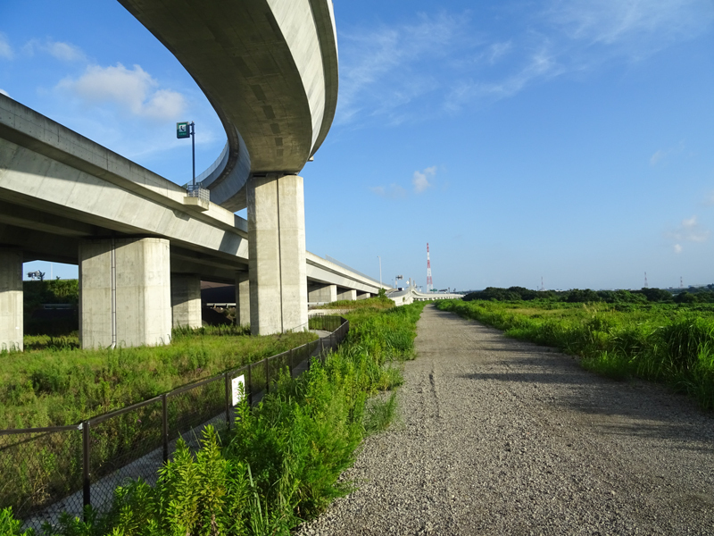 2018-07-29-相模川沿い本厚木ポタ－012.jpg