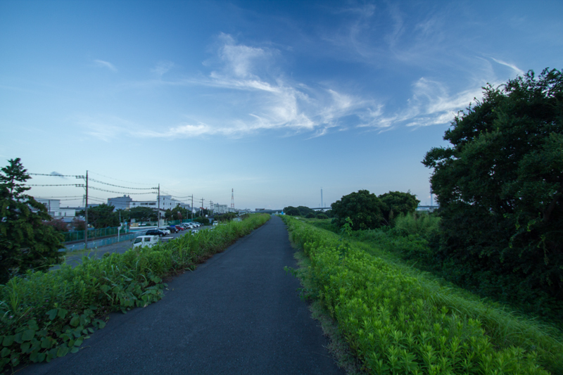 2018-07-29-相模川沿い本厚木ポタ－022.jpg