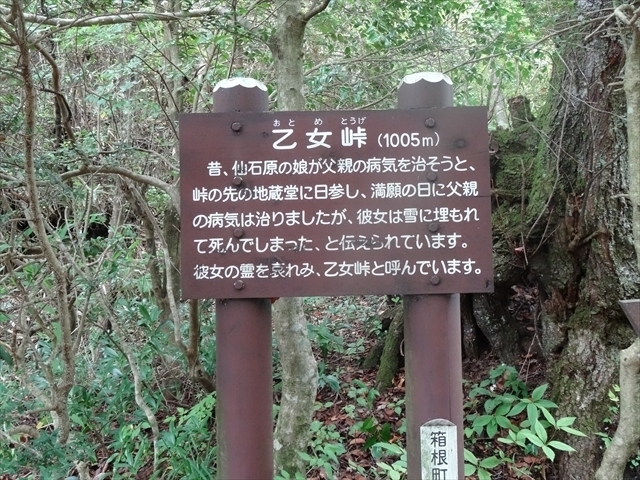 2018-08上　長尾峠-017-2.JPG