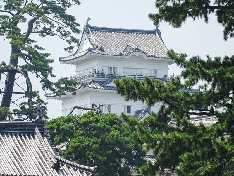 2018-08上　長尾峠－007.jpg