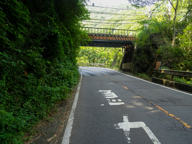 2018-08上　長尾峠－012-0.jpg