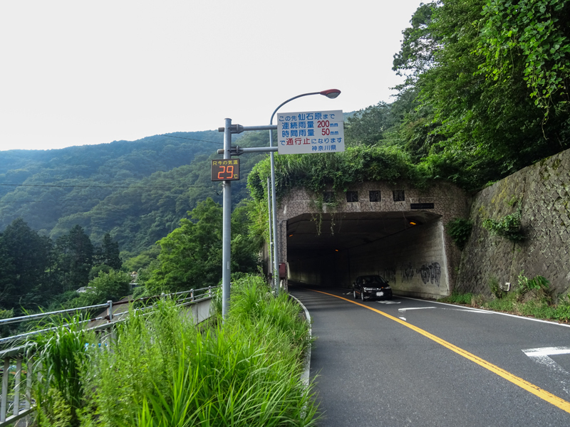 2018-08上　長尾峠－016.jpg