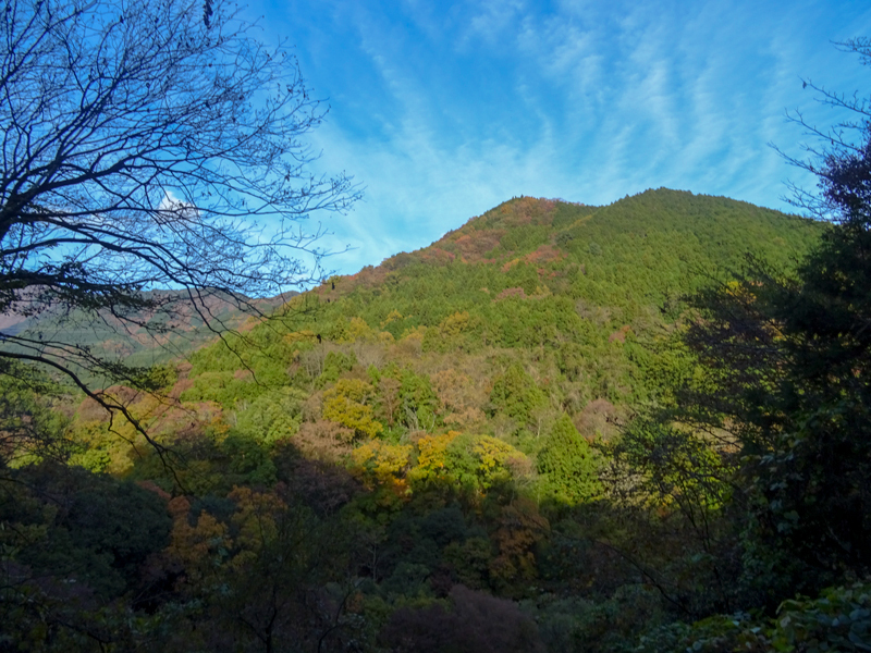 2018-11-25 mikurube-008.jpg