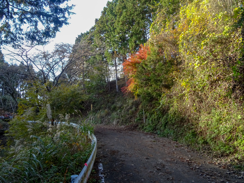 2018-11-25 mikurube-012.jpg