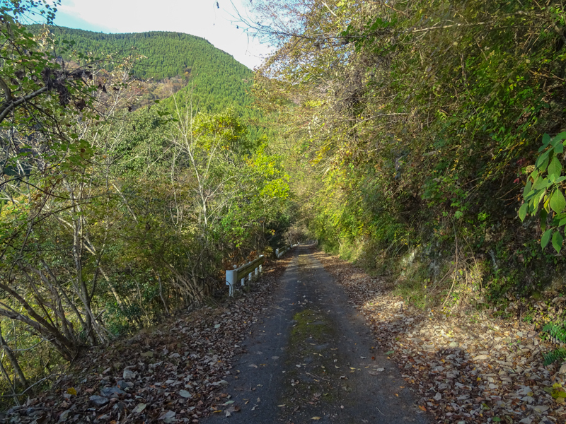 2018-11-25 mikurube-014.jpg