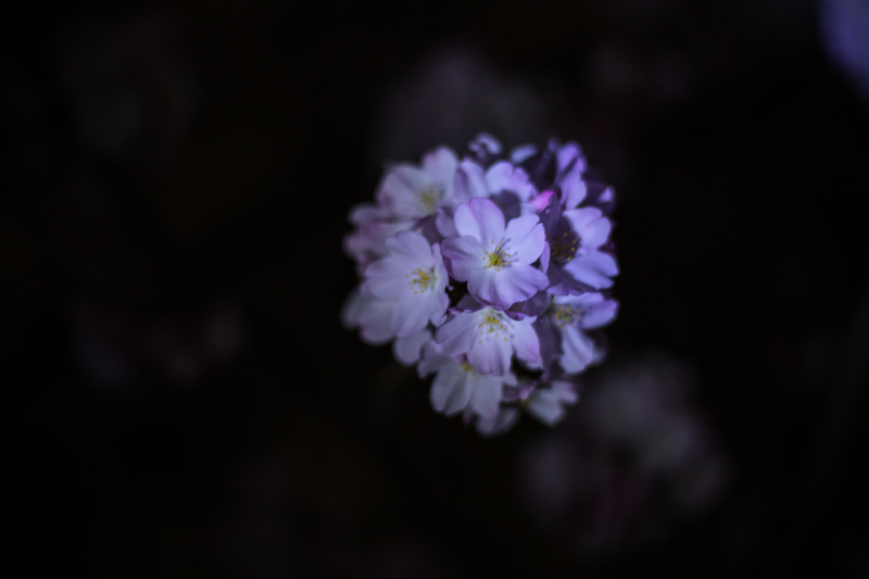 2018-3-22004-3.jpg