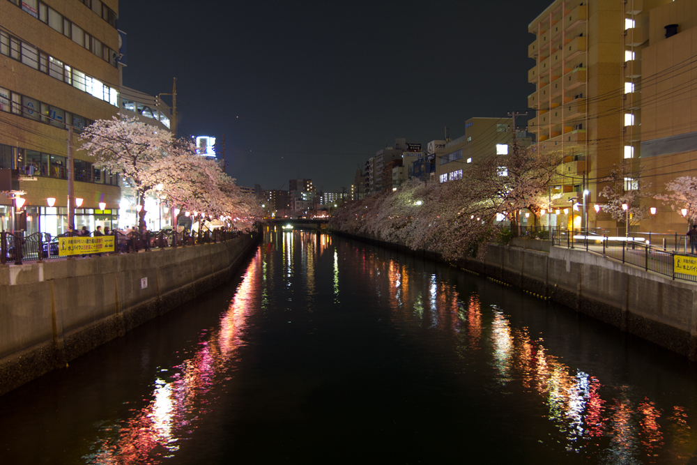 2018-3下_大岡川２-000.jpg