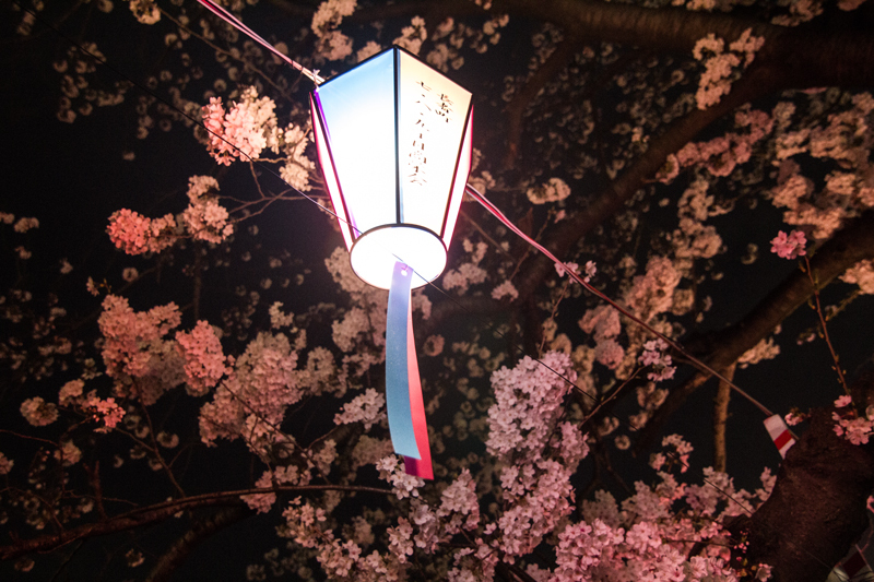 2018-3下_大岡川２-004-2.jpg