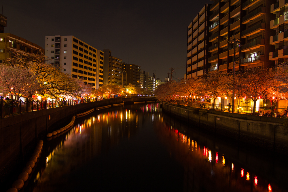 2018-3下_大岡川２-004.jpg