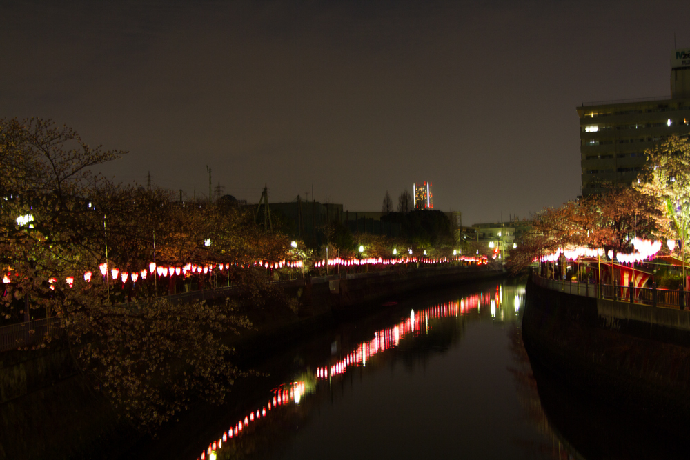 2018-3下_大岡川２-009.jpg