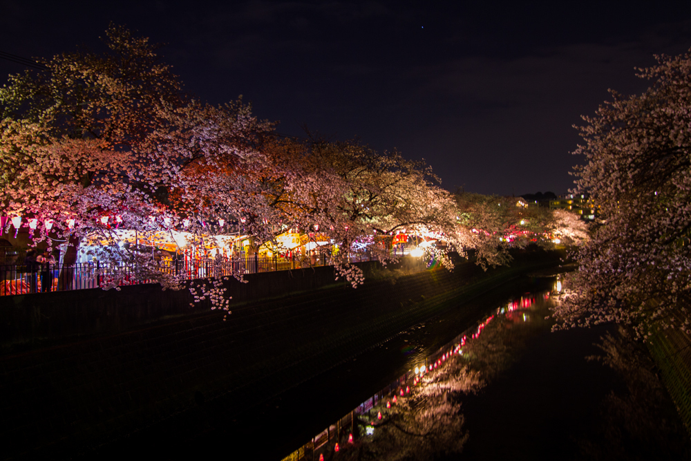 2018-3下_大岡川２-014.jpg