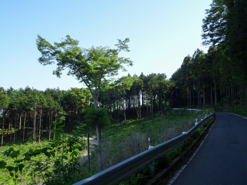 2018-5-5ヤビツ011-1.jpg