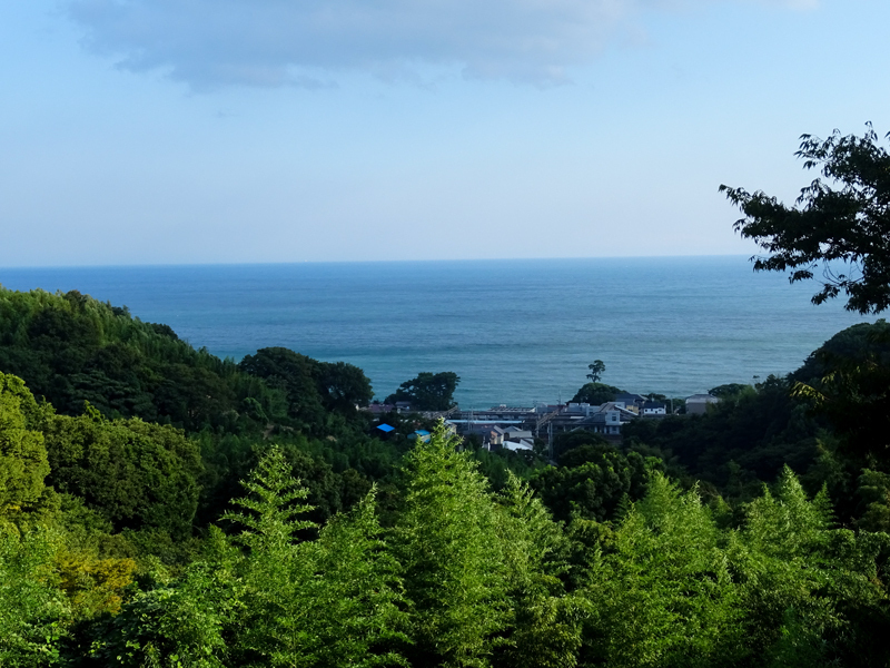 2018-8末-曽我丘陵ウォーキング-003.jpg