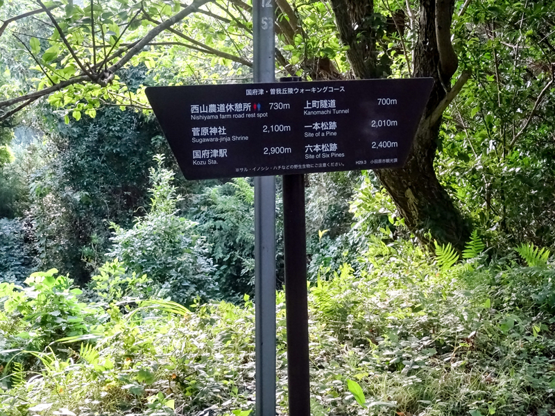 2018-8末-曽我丘陵ウォーキング-005.jpg
