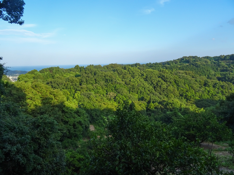 2018-8末-曽我丘陵ウォーキング-009.jpg