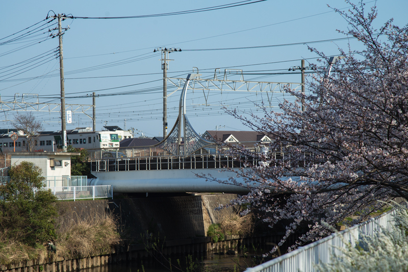 2018.03.25ポタ007.jpg