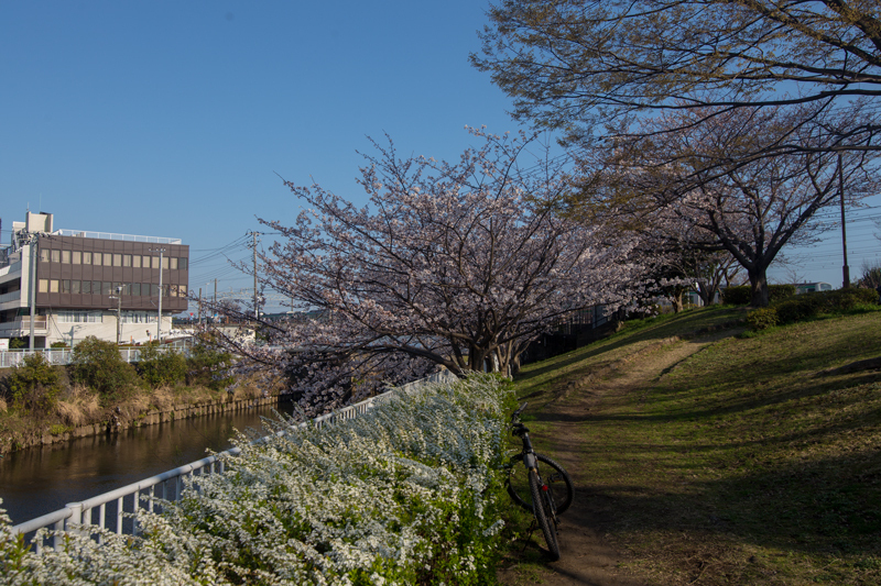 2018.03.25ポタ010.jpg