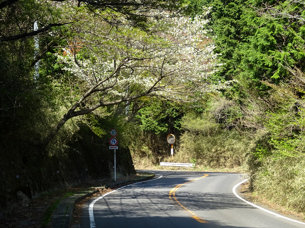2018.04.22箱根越え018.jpg