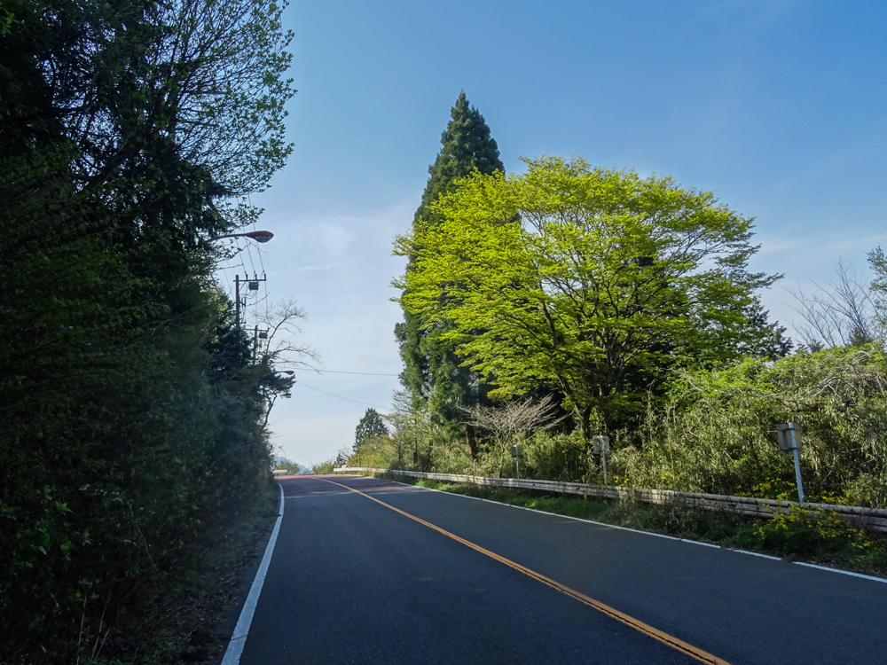 2018.04.22箱根越え023.jpg