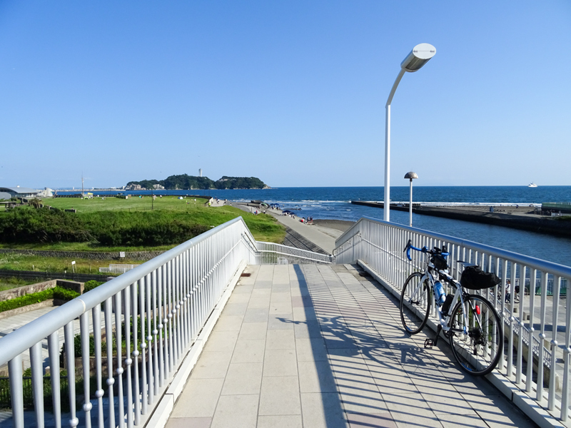 20180602 大崎公園稲村ヶ崎000.jpg