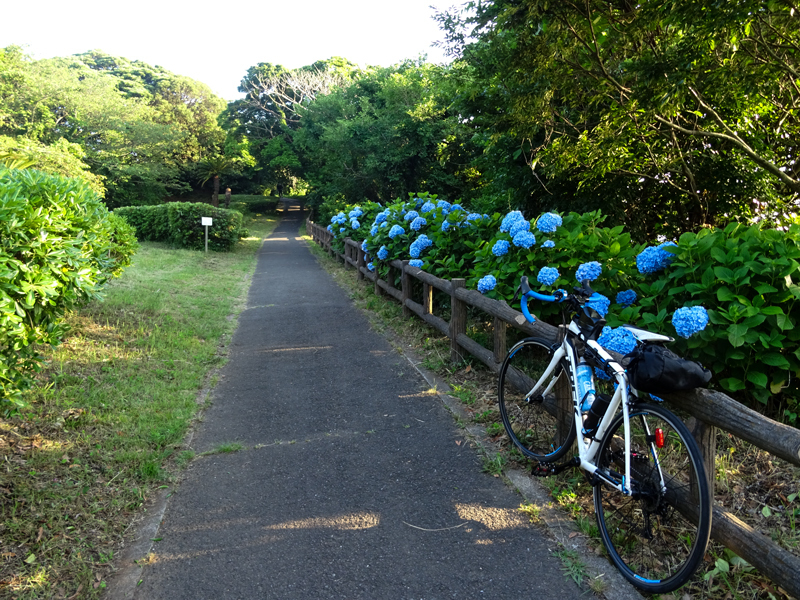 20180602 大崎公園稲村ヶ崎005.jpg