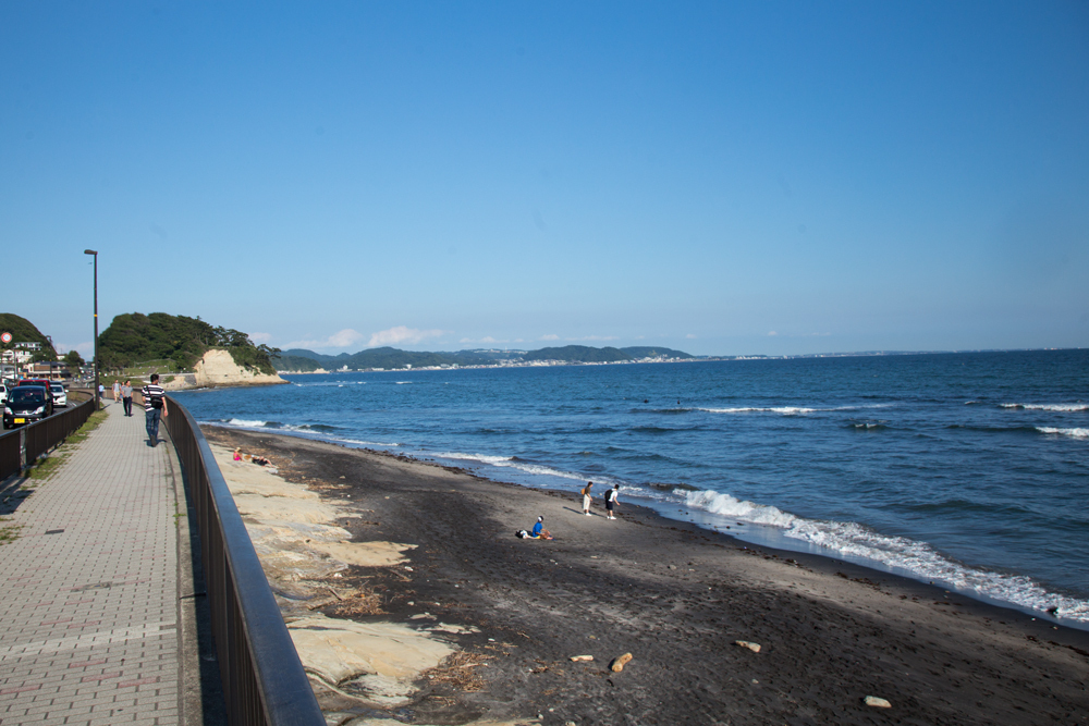 20180602 大崎公園稲村ヶ崎007.jpg