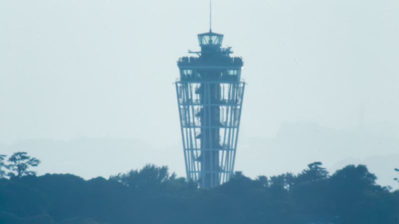 20180602 大崎公園稲村ヶ崎013.jpg