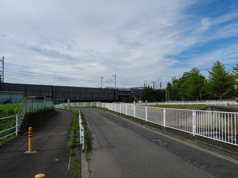 20180708境川_005.jpg
